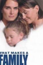 Watch What Makes a Family 9Movies