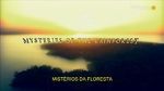 Watch Mysteries of the Rainforest 9Movies