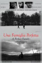 Watch A Perfect Family 9Movies
