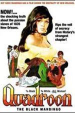 Watch Quadroon 9Movies