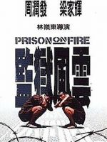 Watch Prison on Fire 9Movies