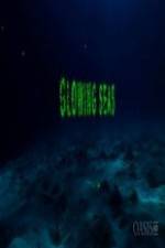 Watch Glowing Seas - Diving at Hatshepsut's Harbour 9Movies