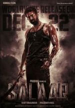 Watch Salaar 9Movies