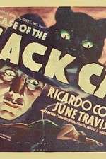 Watch The Case of the Black Cat 9Movies