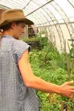 Watch Green House Seeds Strain Hunters India Expedition 9Movies