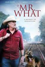 Watch Mr What 9Movies