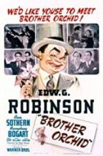 Watch Brother Orchid 9Movies