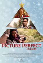 Watch A Picture Perfect Holiday 9Movies