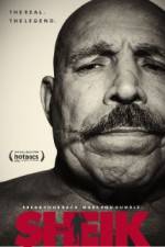 Watch The Sheik 9Movies