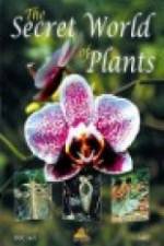 Watch The Secret World of Plants 9Movies