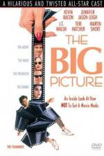 Watch The Big Picture 9Movies