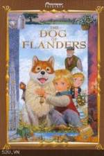Watch The Dog of Flanders 9Movies