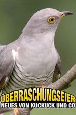 Watch �berraschungseier: Neues von Kuckuck und Co. 9Movies
