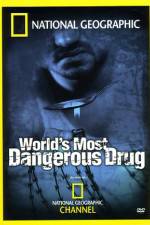 Watch Worlds Most Dangerous Drug 9Movies