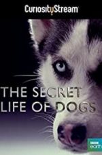 Watch Secret Life of Dogs 9Movies