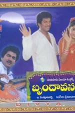 Watch Brundavanam 9Movies