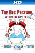 Watch The Big Picture Rethinking Dyslexia 9Movies