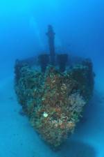 Watch The Wreck 9Movies