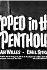 Watch Gypped in the Penthouse 9Movies