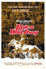 Watch Ride a Wild Pony 9Movies