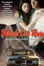 Watch Black Cat Run - Tödliche Hetzjagd 9Movies
