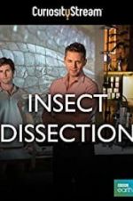 Watch Insect Dissection: How Insects Work 9Movies