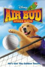 Watch Air Bud Spikes Back 9Movies