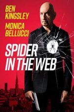 Watch Spider in the Web 9Movies