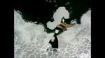 Watch Ain\'t that Ducky (Short 1945) 9Movies