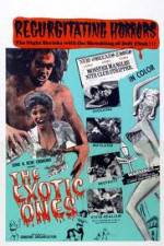 Watch The Exotic Ones 9Movies