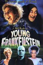 Watch Young Frankenstein 9Movies