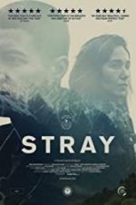 Watch Stray 9Movies