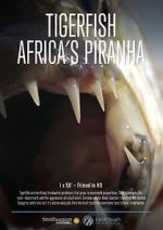 Watch Tigerfish 9Movies
