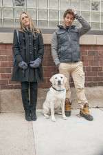 Watch Who Gets the Dog? 9Movies
