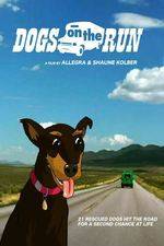 Watch Dogs on the Run 9Movies