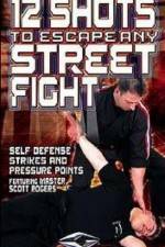 Watch 12 Shots to Escape Any Street Fight 9Movies