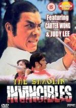 Watch Yong zheng ming zhang Shao Lin men 9Movies