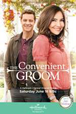 Watch The Convenient Groom 9Movies