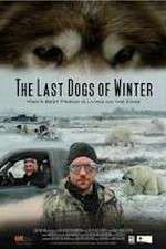 Watch The Last Dogs of Winter 9Movies