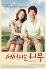 Watch Sleeping Tree 9Movies