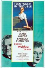 Watch These Wilder Years 9Movies