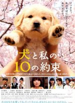 Watch 10 Promises to My Dog 9Movies