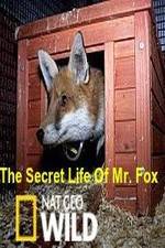 Watch The Secret Life of Mr. Fox 9Movies
