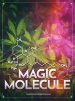 Watch Magic Molecule 9Movies