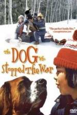 Watch La guerre des tuques 9Movies