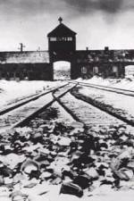 Watch AUSCHWITZ: CORRUPTION 9Movies