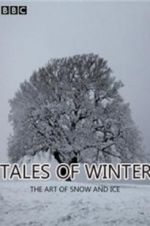 Watch Tales of Winter: The Art of Snow and Ice 9Movies