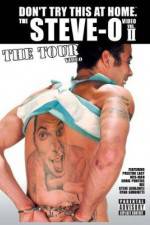 Watch Don't Try This at Home: The Tour 9Movies