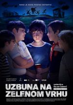 Watch The Mystery of Green Hill 9Movies