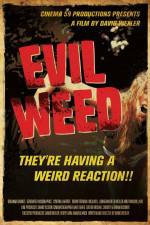 Watch Evil Weed 9Movies